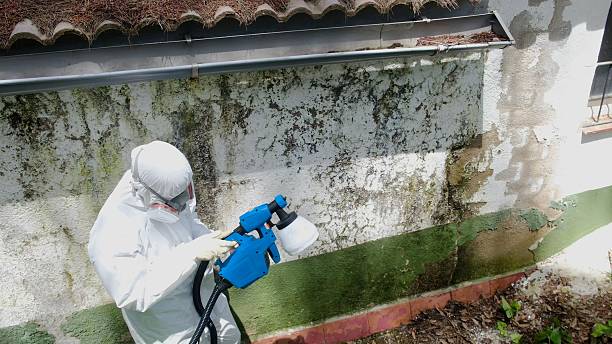 Top rated local Attic Mold Remediation specialists in Cresskill, NJ